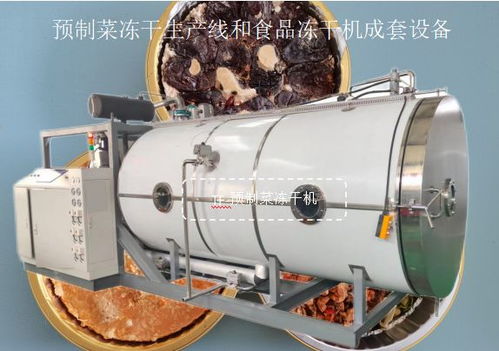 預制菜凍干生產線與食品凍干機成套設備在光學器材領域的應用