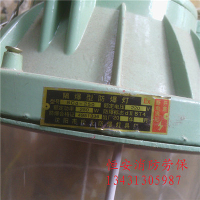 安佳防爆應急燈與相關消防器材全解析